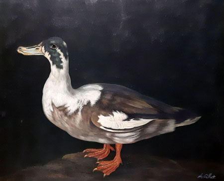 2110-T2 | 50cm x 61cm | canard 